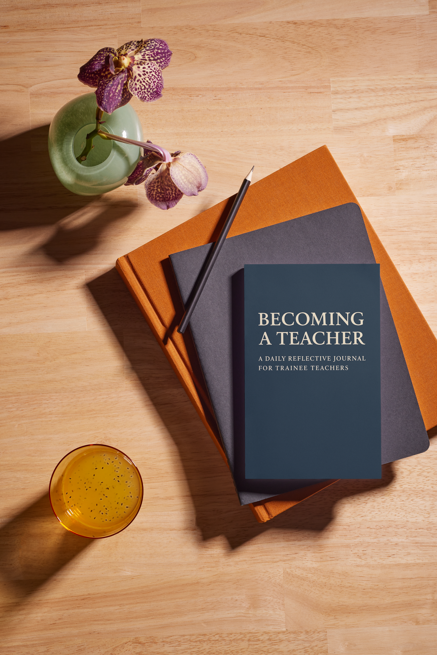 Becoming a Teacher: A Daily Reflective Journal for Trainee Teachers - Blue
